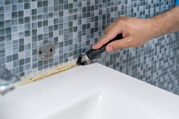 Certified Mold Removal in East Douglas, MA