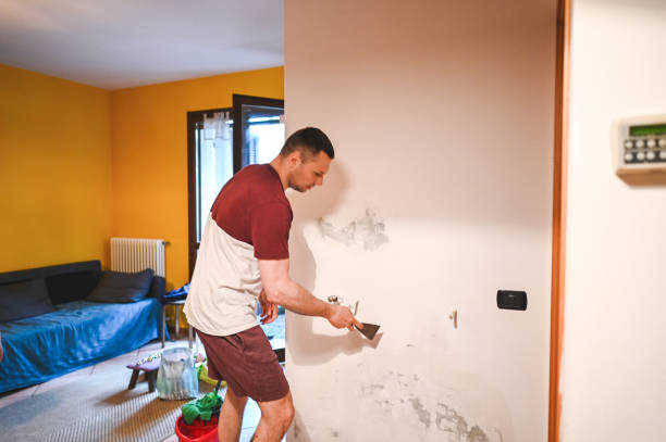 Reliable East Douglas, MA Mold Removal Solutions